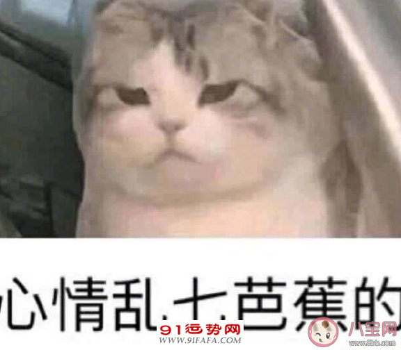 四十岁生日感言朋友圈说说 女人40岁生日致自己句子