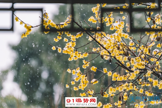 2022年立春最新图片,2022春天风景图片 2022年什么时候立春几点几分 2022年立春在哪一天