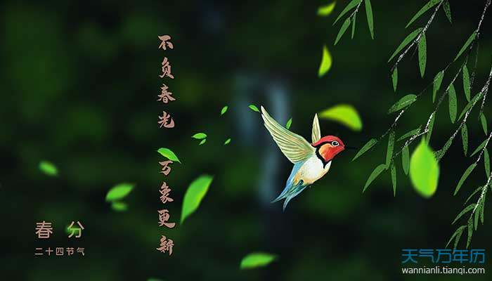 2021春分是第几个节气 春分是一年中第几个节气