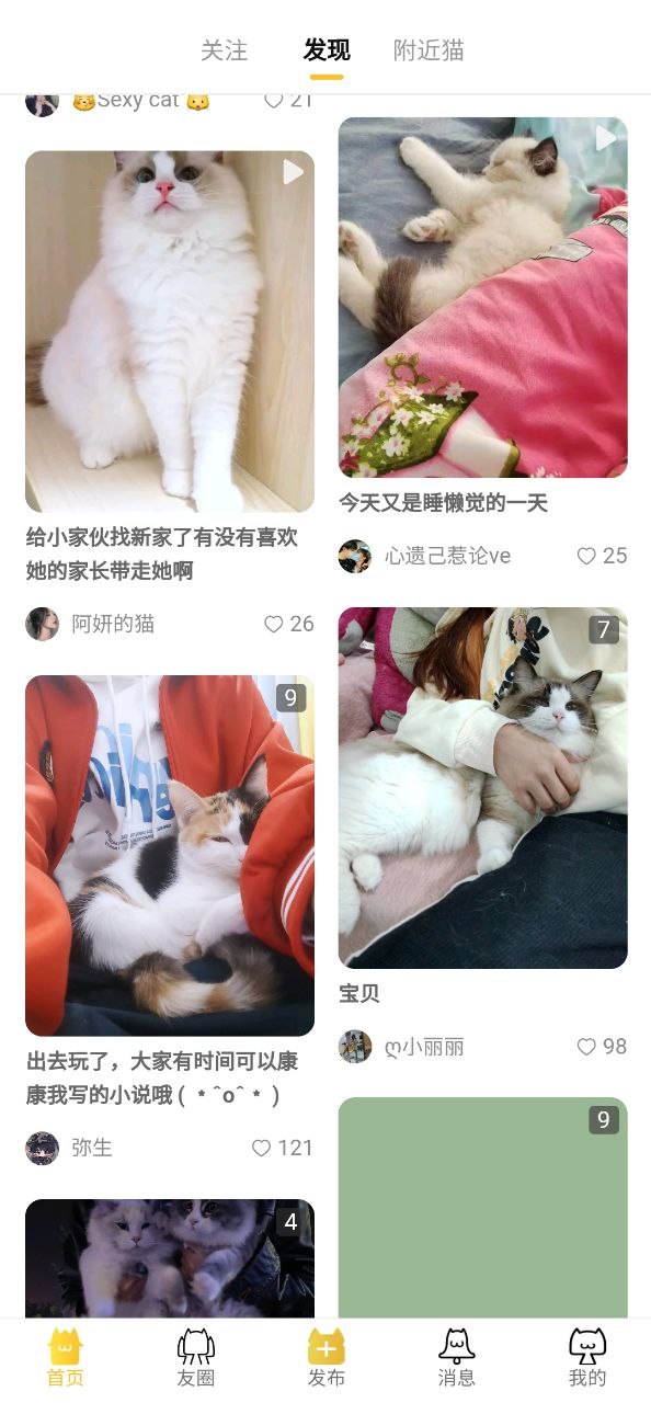 友猫