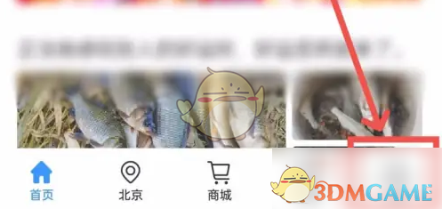 主页面