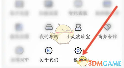 设置选项