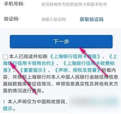 验证码输入