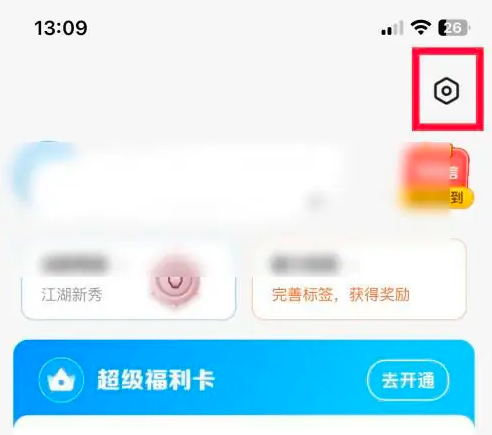 代练丸子设置界面
