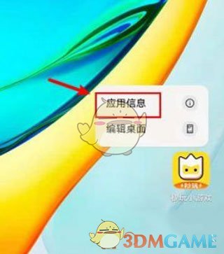 应用信息界面