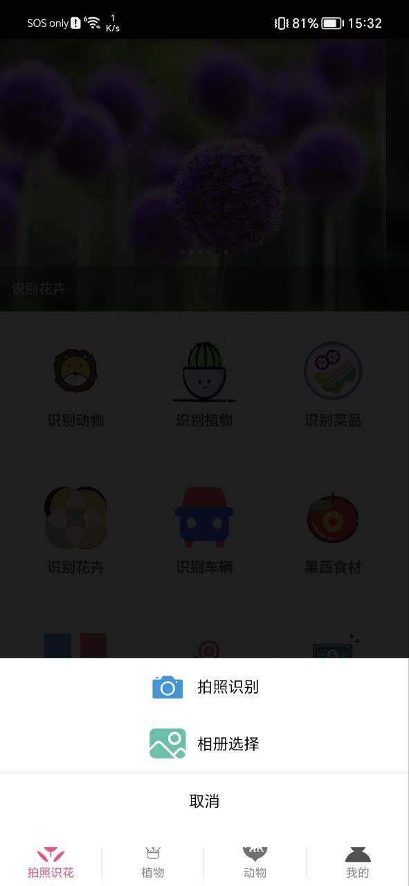 拍照识花神器