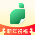 青柠设计应用安卓版