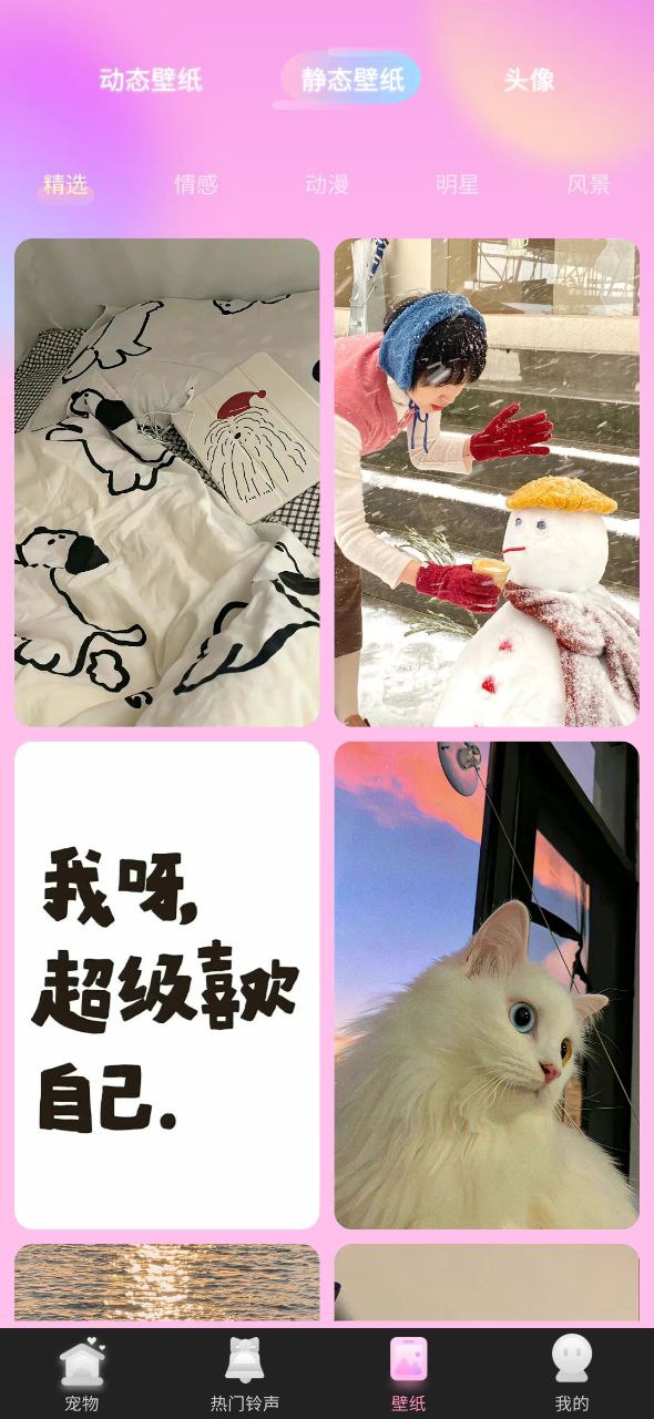 哈屏宠物下载app