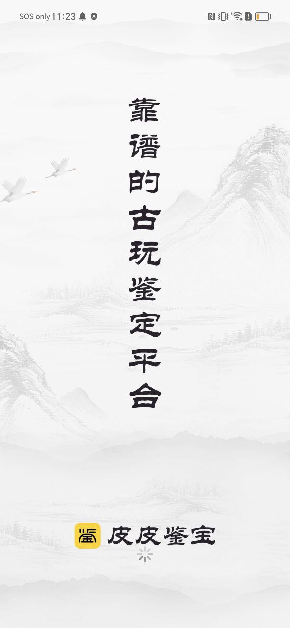 皮皮鉴宝apk安卓下载