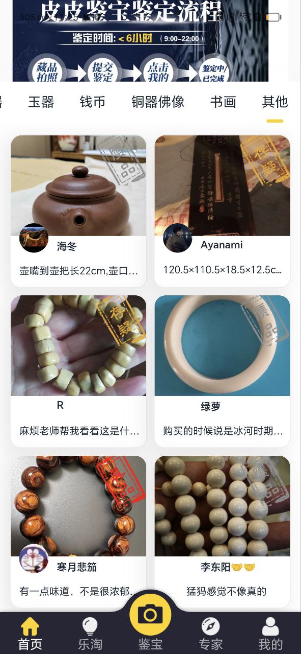 皮皮鉴宝apk安卓下载