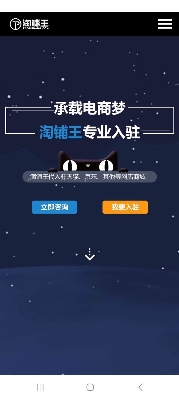淘铺王网店转让网页
