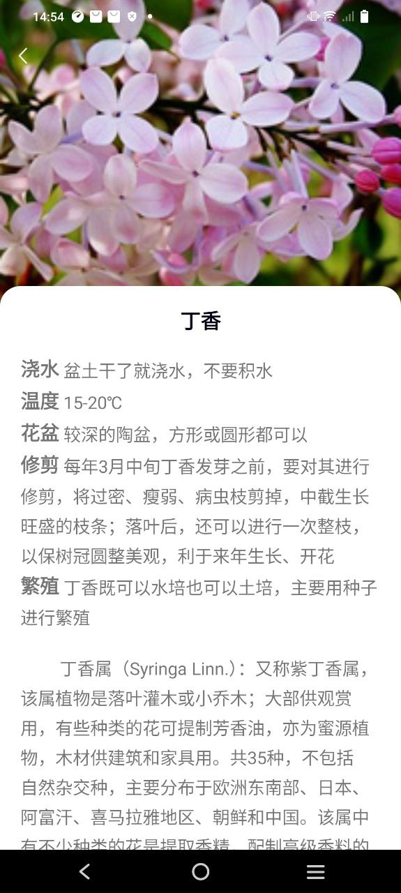 花多多下载