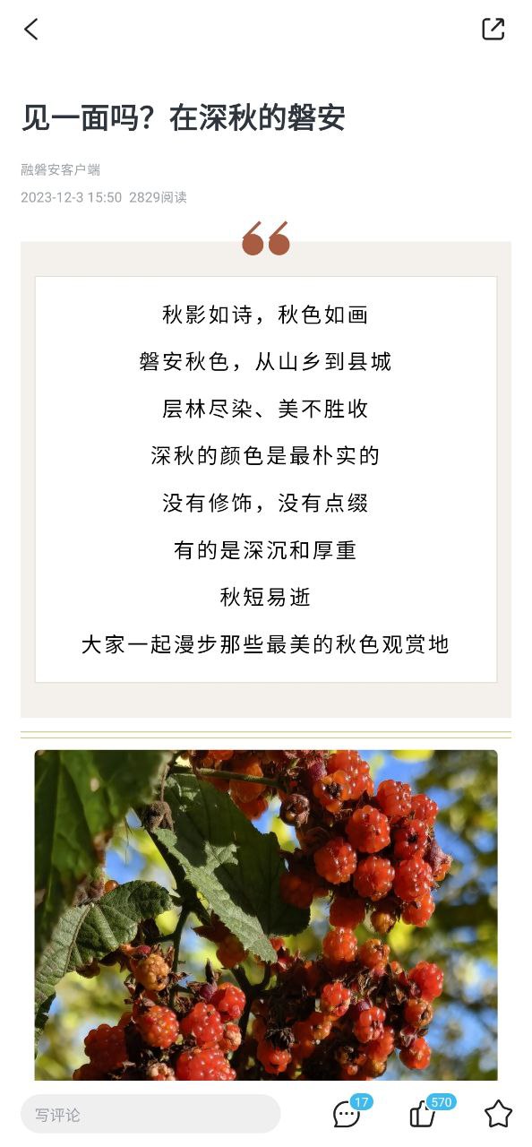 下载融磐安app移动版