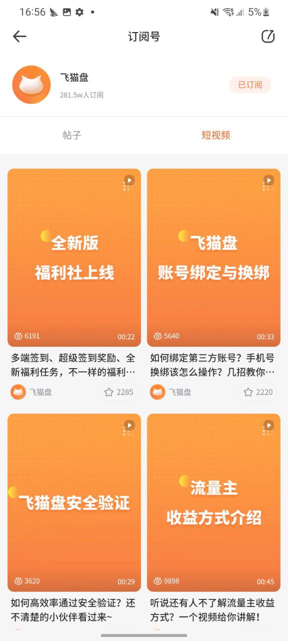 飞猫盘正版