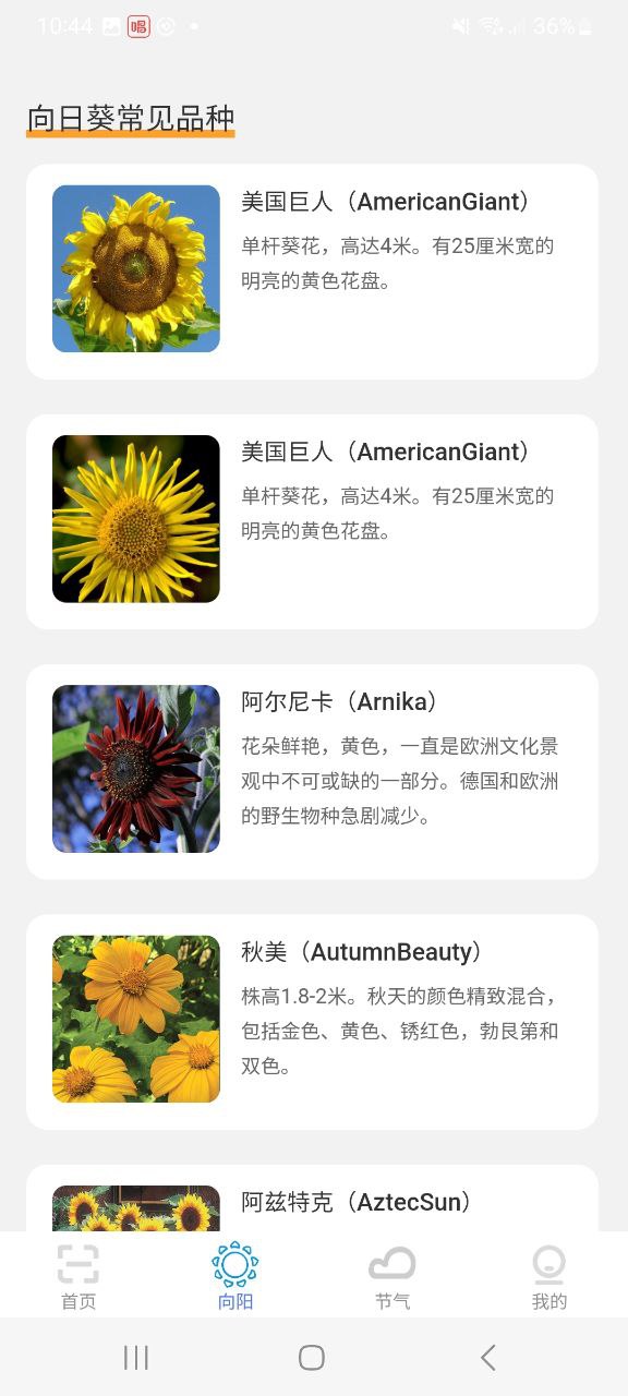 超速扫描大师 安卓版