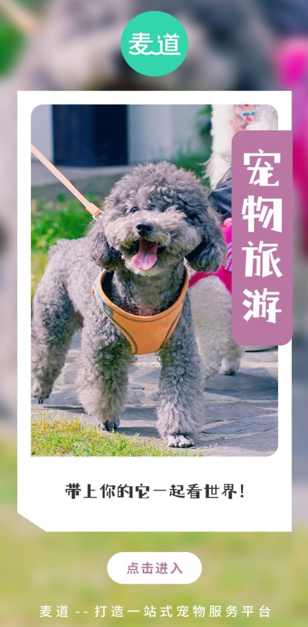 麦道