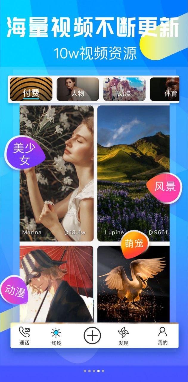 绚铃