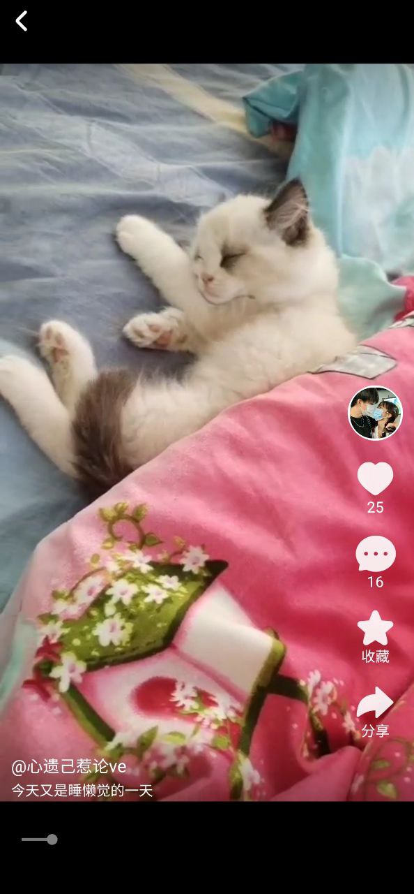 友猫