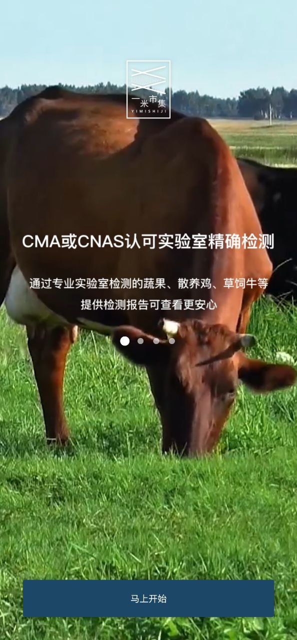 一米市集
