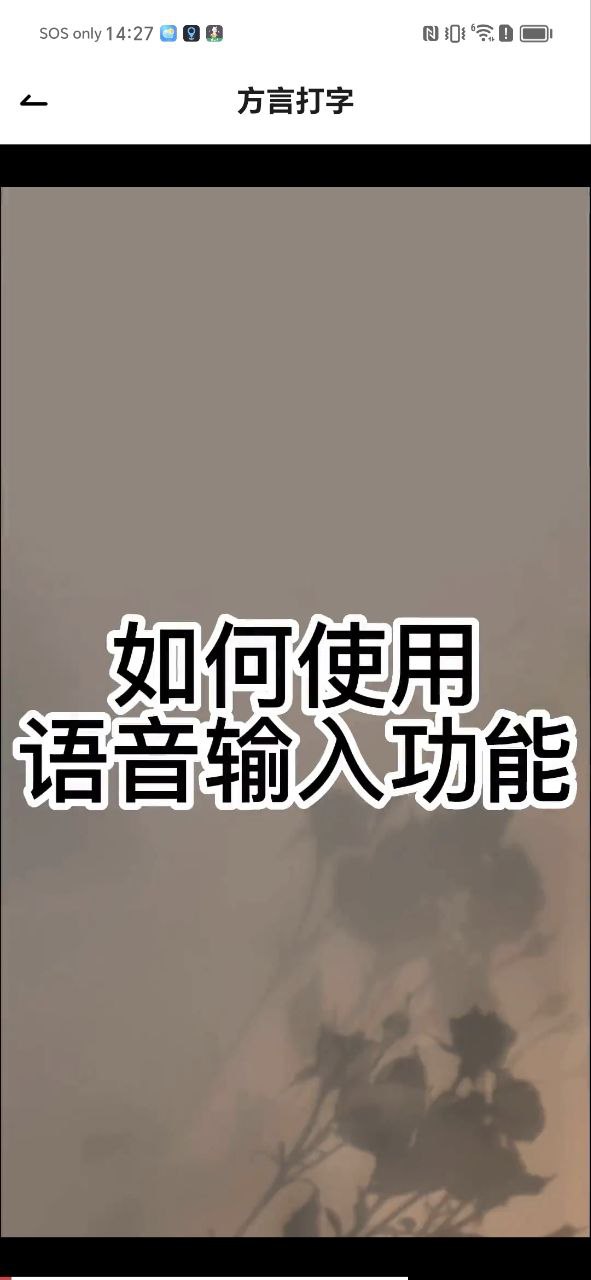 吉祥输入法