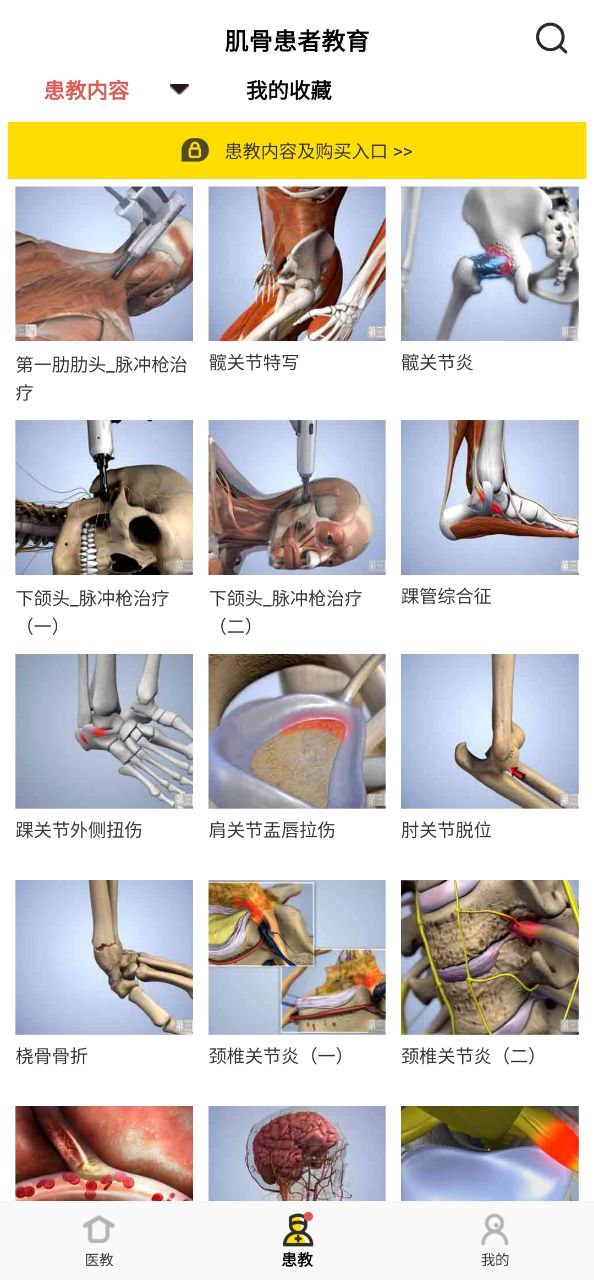 3dbody解剖
