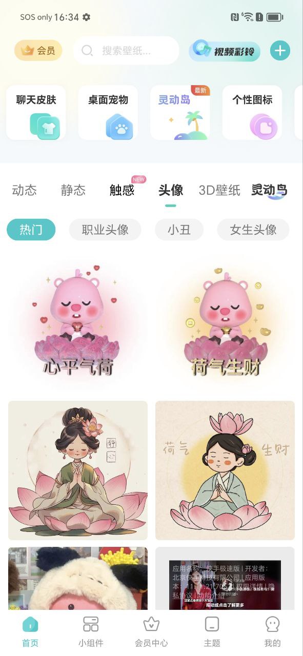 主题壁纸大全