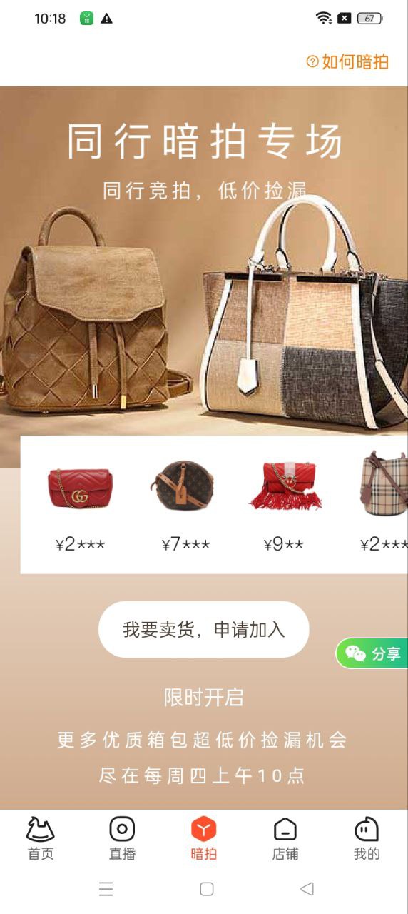 小桔马