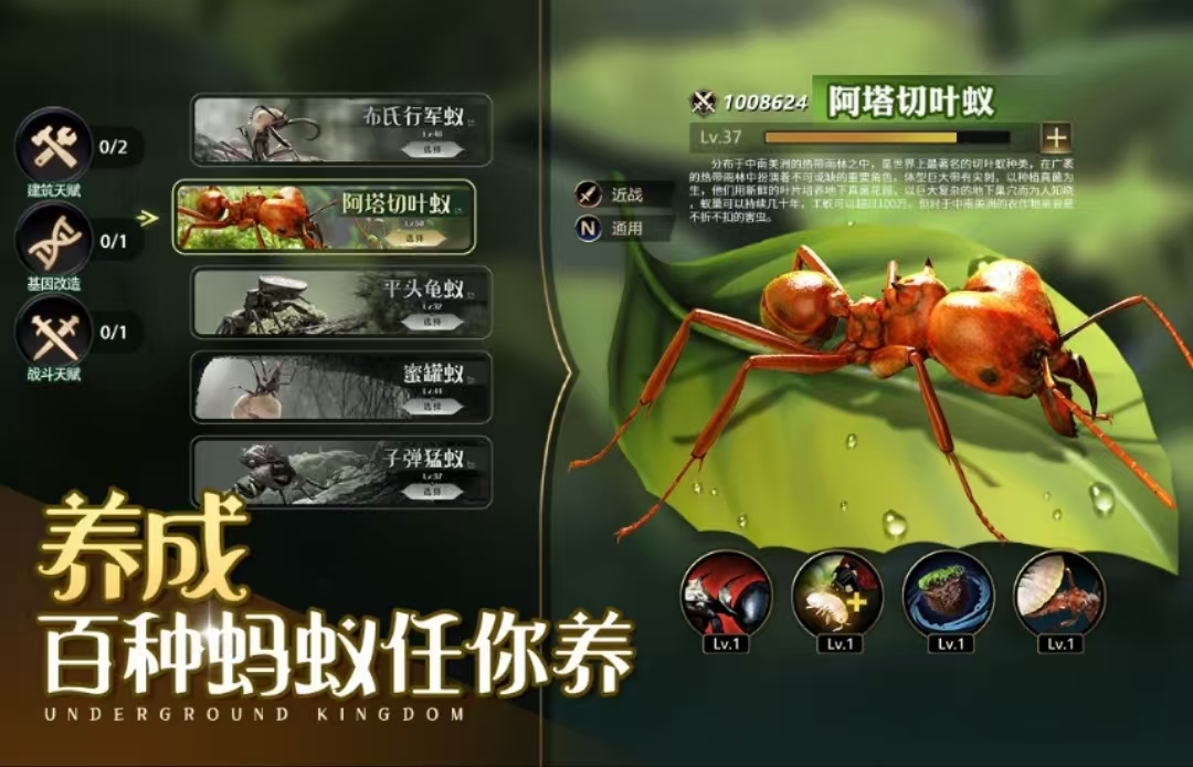 最受欢迎的经营手游推荐管理游戏大全
