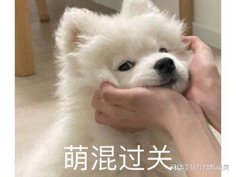 宝可梦+吸血鬼幸存者：万人游玩的热门联机游戏