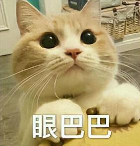 燕云十六声：武学新纪元启幕？