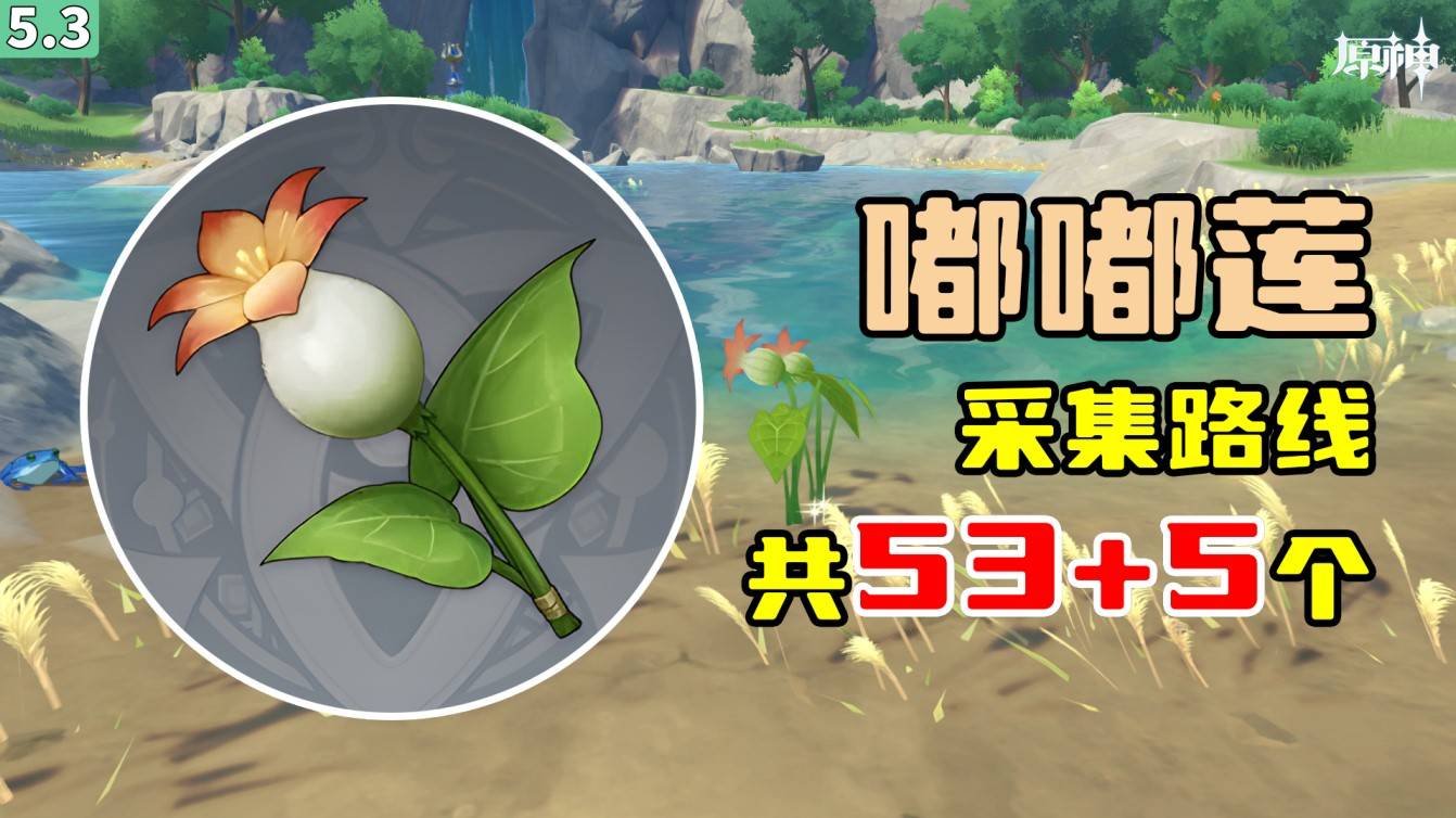 嘟嘟莲采集路线攻略
