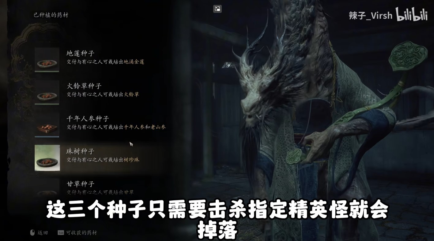 悟空全种子收集路线指南