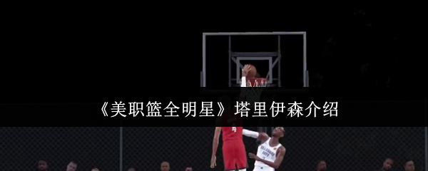 《美职篮全明星》泰森塔里伊简介