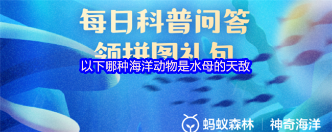 《支付宝》海洋生物对水母的捕食者有哪些？