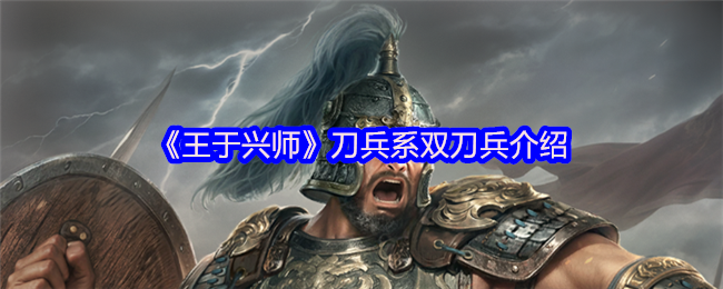 《王于兴师》双刀兵的全面解析与玩法指南