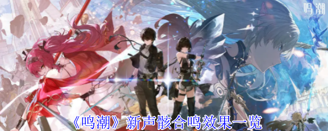 《鸣潮》新声骸合鸣效果详解与应用