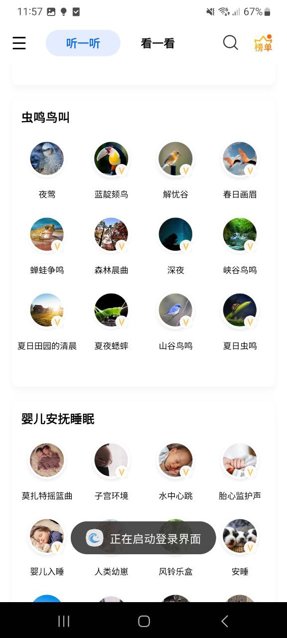白噪音2025