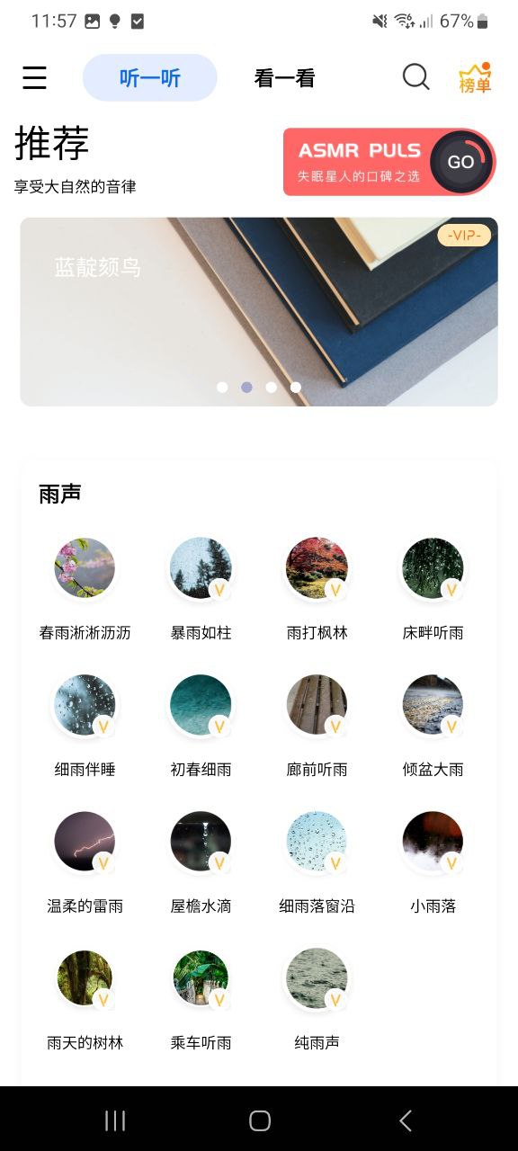 白噪音2025