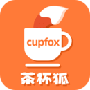 茶杯狐最新