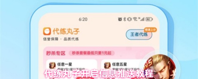 《代练丸子》代练丸子信息推送使用指南