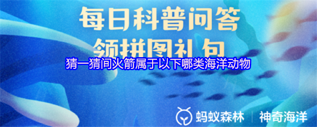 《支付宝》火箭究竟归属于哪种海洋生物？