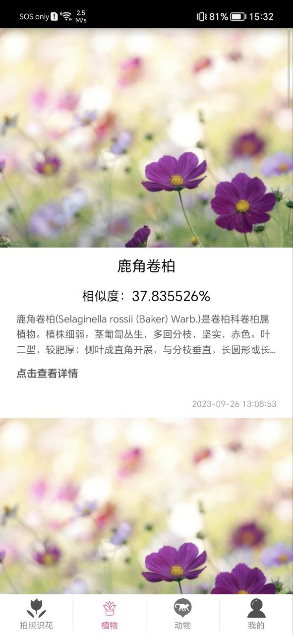 拍照识花神器