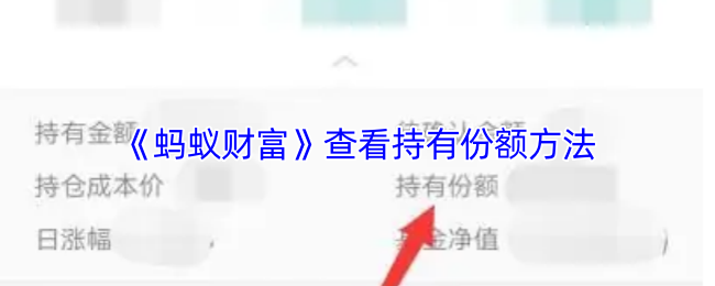《蚂蚁财富》优化持有份额查询技巧