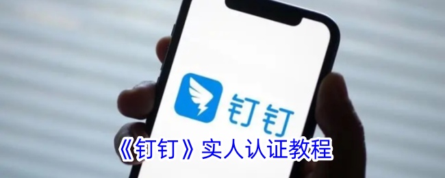 如何进行钉钉实名认证