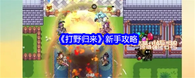 新手打野归来攻略