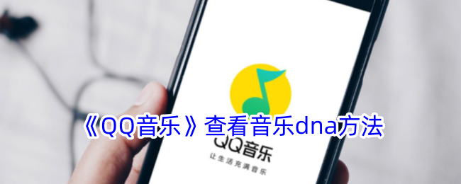 如何查看音乐DNA？