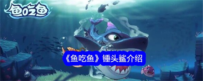 游戏攻略：鱼吃鱼锤头鲨玩法介绍