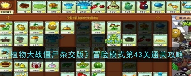 植物大战僵尸杂交版第关攻略