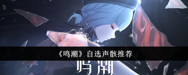 声骸鸣潮自选推荐
