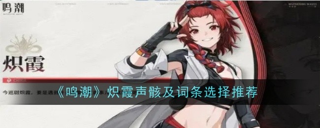 推荐鸣潮炽霞声骸词条选择方案